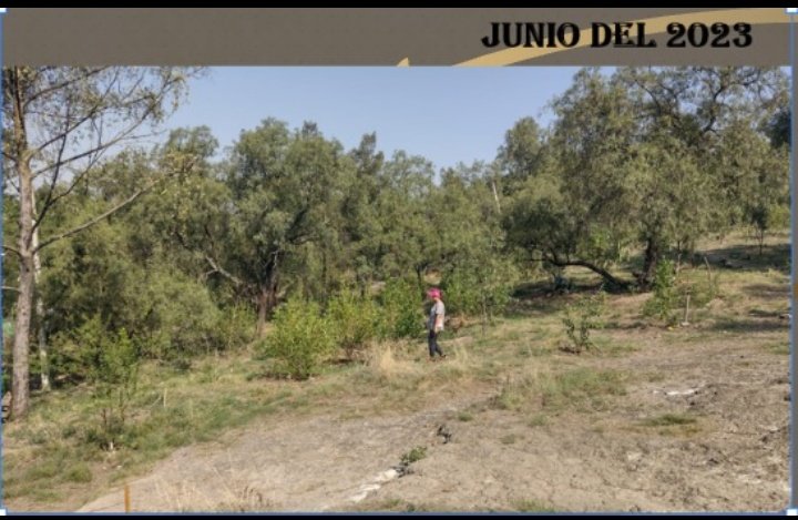 ChaponerosCE's tweet photo. Los cambios han sido graduales, requirieron MUCHO esfuerzo y trabajo, pero creemos q ha valido la pena

¿Nos acompañas a ver alguno de los cambios?  ¡¡Pásele!! https://t.co/fNac12Dxg5