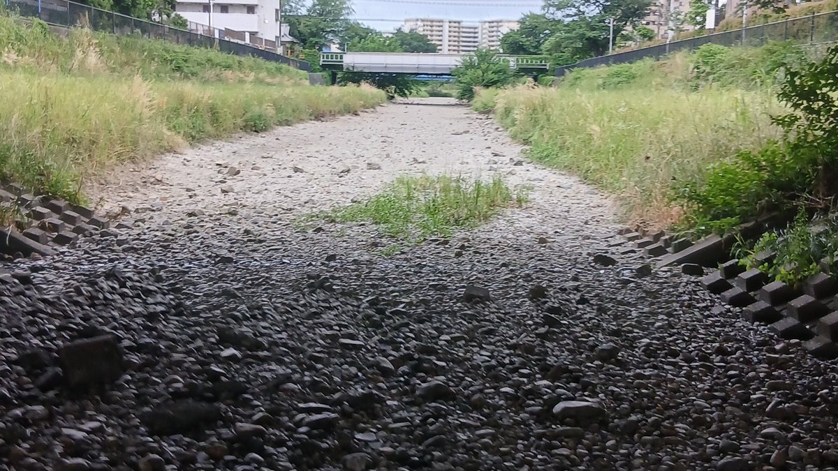 kows65's tweet photo. #反乱危険警報　#野川　こちら、数日前の枯れた野川。川底を歩いて撮影。 https://t.co/XdTenHuDpn