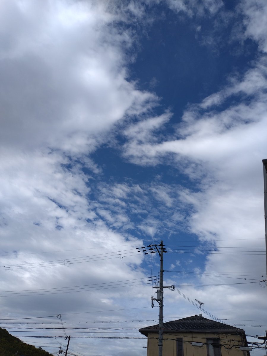 hukusuke2016's tweet photo. おはようございます
昨夜は一時的に凄い風と雨で
予報信じて風は大した事ないと思って何も対策してなかったらゴミ箱ひっくり返ってました
台風接近地域の皆様
どうぞお気を付けて https://t.co/C43TfRyQob
