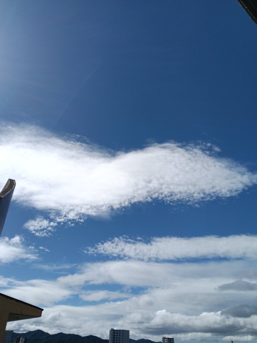 jj_tranquilo's tweet photo. 良い天気☀
雨の後なので涼しくて過ごしやすい。
東日本方面の方は、まだ台風の影響があるようなので、お気をつけ下さい😓 https://t.co/JTEax3YCyz