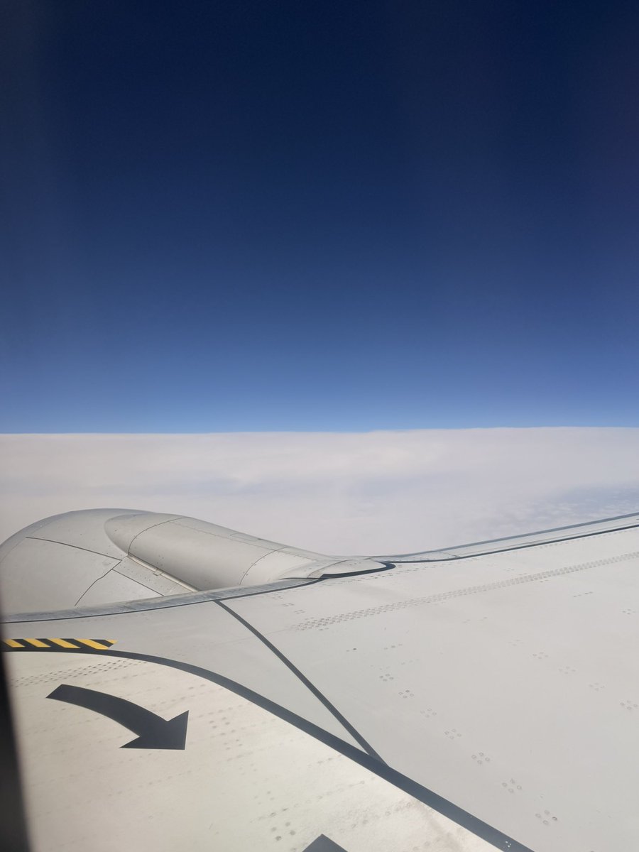 hip_af's tweet photo. guys literally skypiea literally gonna find the bell brb https://t.co/nndSrgMfF5