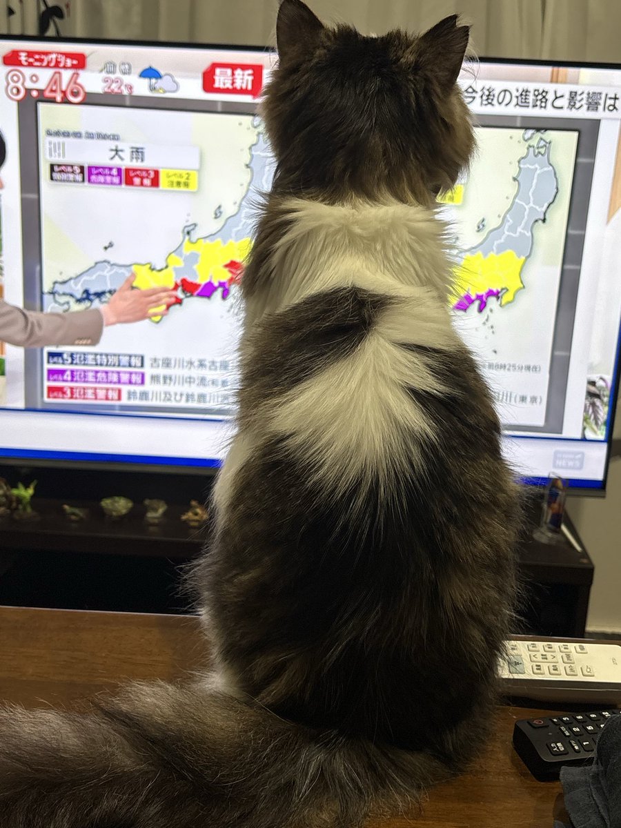 nanagami73's tweet photo. 台風情報チェックしてる人いる笑 https://t.co/ut79sslwsb