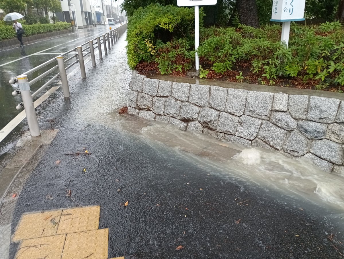 aimetal_com's tweet photo. 予報通り、朝に雨が直撃、皆様大丈夫でしょうか
❓

会社前も雨で溢れていました😣

雨の中の配達は大切な商品が濡れないように、カバーをしながらなので、大変ですね🚚😵

皆様どうかご安全に‼️

#アルミ #看板 #サイン #アイメタル  #金物 #ディスプレイ #台風 #台風６号 https://t.co/FfXISl80MH