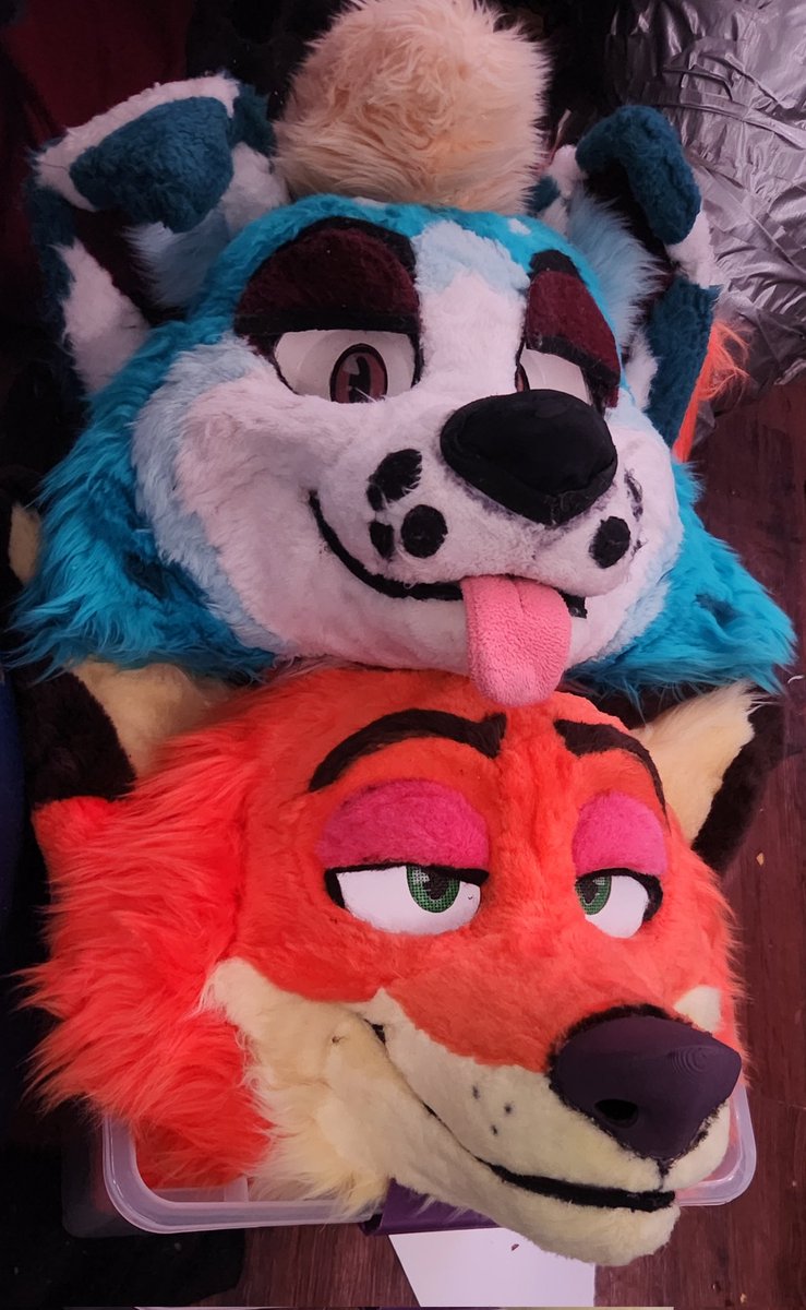 ZappFox's tweet photo. The roommates are getting along. :) https://t.co/GTq7SznkO9