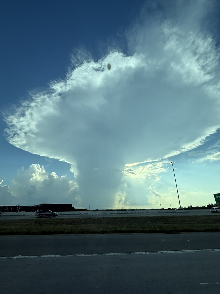 kello011's tweet photo. @averytomascowx Look at this lil guy https://t.co/HHOg6UaHWM