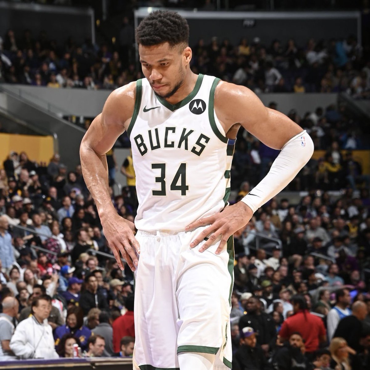 PolymarketHoops's tweet photo. The New York Knicks are no longer going to be pursuing Giannis anymore, per @ShamsCharania. https://t.co/acPnQ5AeZn