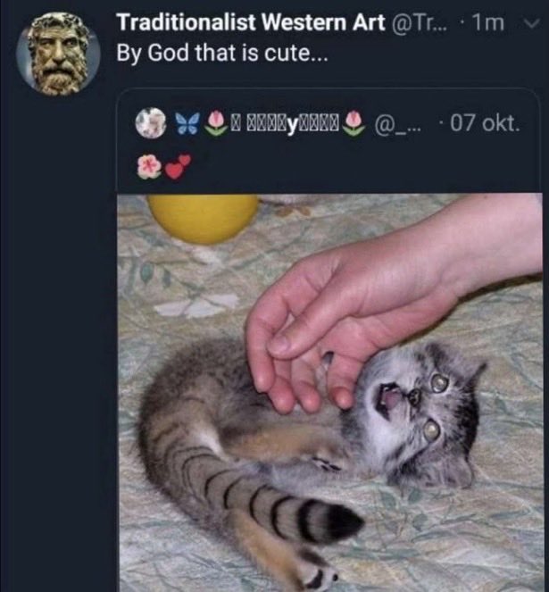 samortism's tweet photo. meowrails https://t.co/W2uE0mEYbq