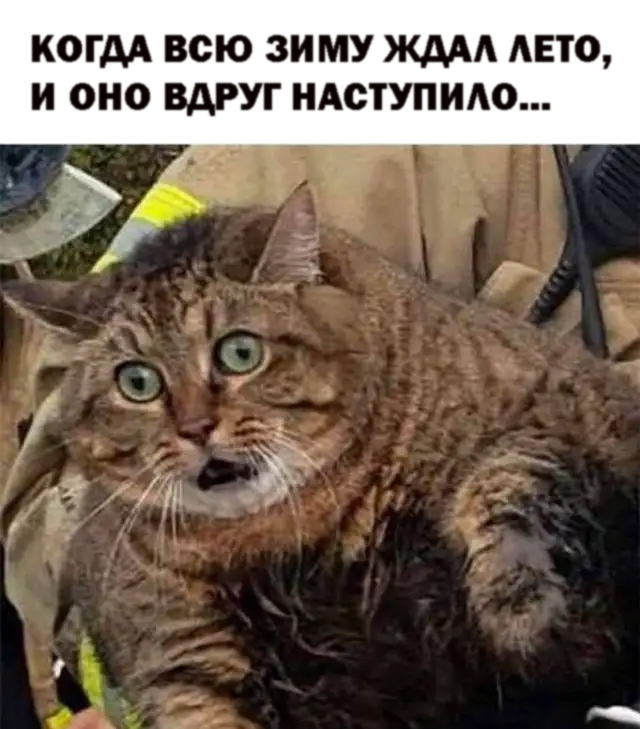 AkvDanil's tweet photo. https://t.co/5Q0wkWuPT8