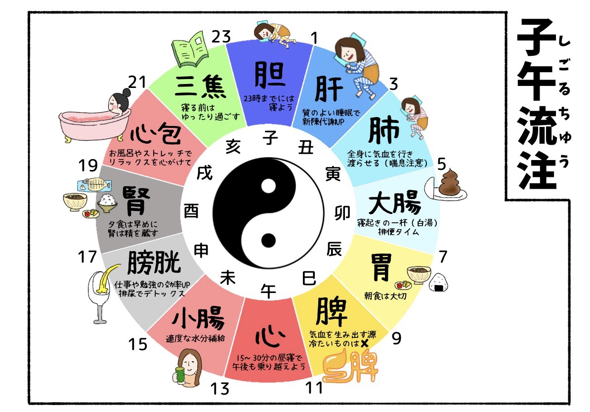 PandaKanpo's tweet photo. まず早寝です。

何時間寝るかよりも何時に寝るかが重要です。

中医学では遅くとも23時にはちゃんと寝ていることを推奨します。そうすると胆が座るようになり、精神が安定します。

理想は21時就寝！気血水流れを整えて代謝をスムーズにする時間帯が21時から23時。

忙しい人もお休みの日はせめて早寝を。