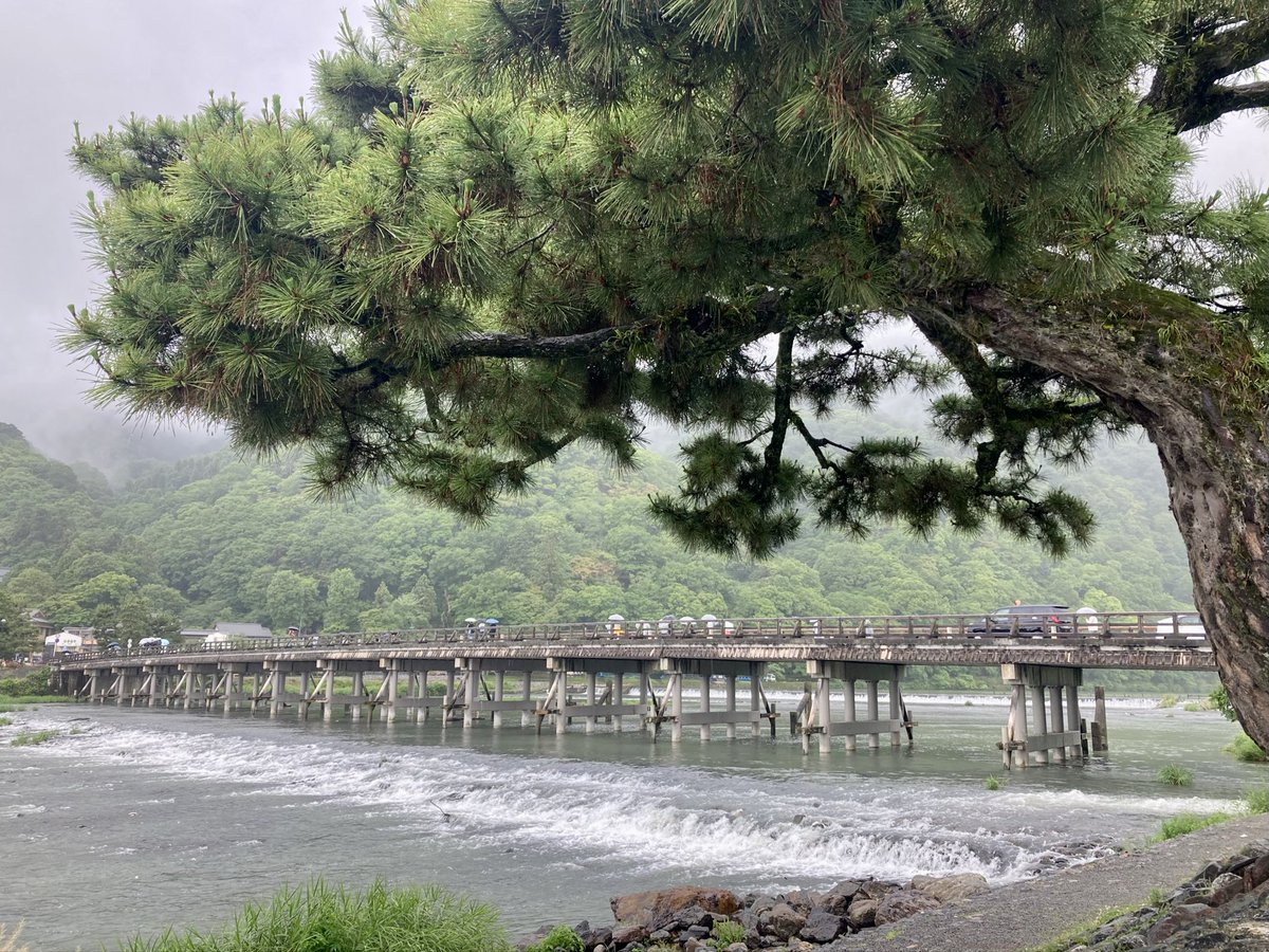 TakeImage's tweet photo. 今日は、おっはー♪☀️🐢✨と言いたいところが台風接近中！🌀🥷💦🤔西側諸国から帰る🐸 https://t.co/uSWrTj1PYo