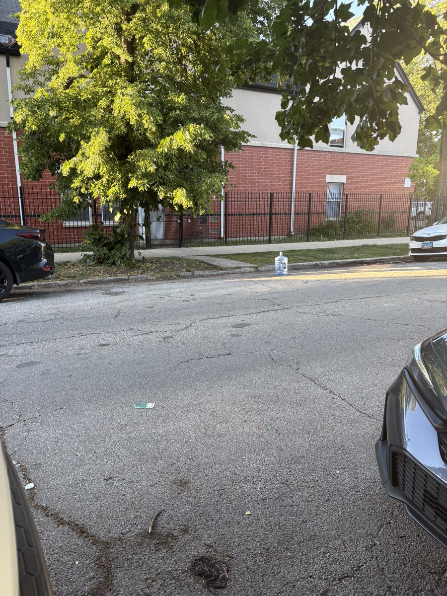 eileenblack's tweet photo. Summer dibs is nasty work. 

#Chicago https://t.co/nTBhymNGSt