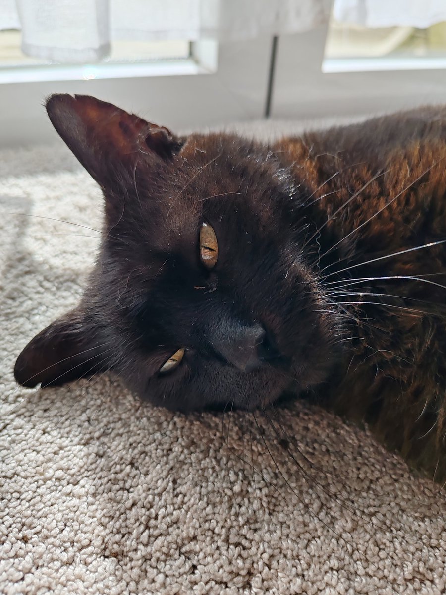 antytilo's tweet photo. Votre dieu fête aujourd'hui ses 16 ans. https://t.co/6wD4wn6LHq