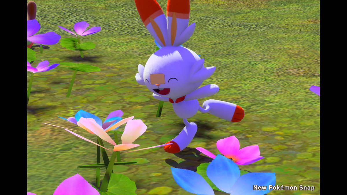 niko_pokeaka's tweet photo. 新ポケスナ📷 本当によく動く無理〜〜 https://t.co/rVUo5eaIVA