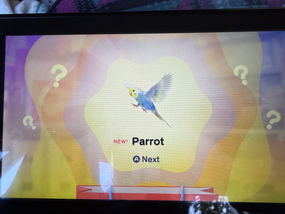 RodeoSlim's tweet photo. That is not no fucking parrot https://t.co/DlGvdKvwld