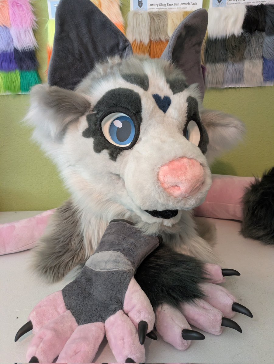 OmnidadCreation's tweet photo. Awesome possum!!!! https://t.co/ob1sN1ihtm