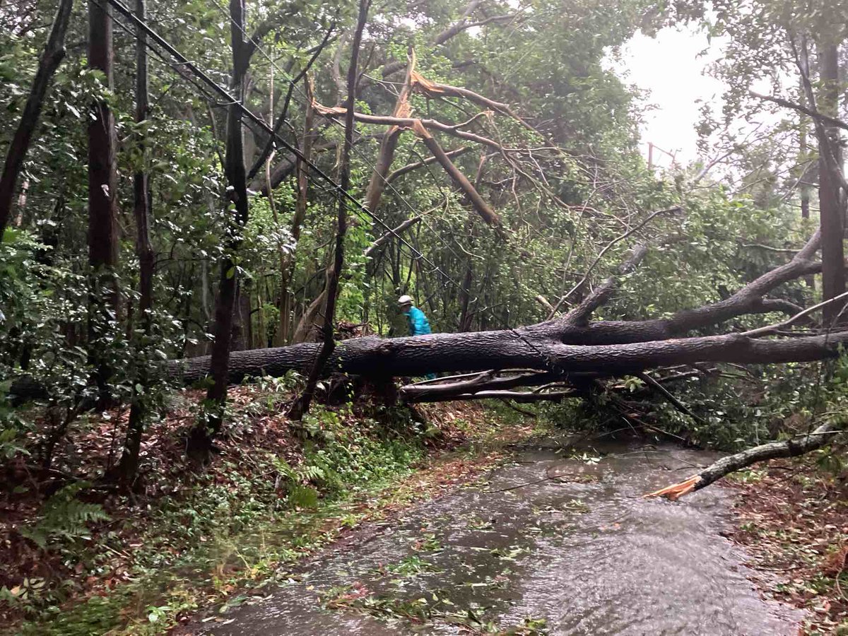 ChudenPowergrid's tweet photo. ■台風6号 停電情報■
6月3日9時00分現在、台風6号の影響などにより、約11,320戸の停電が発生しています。
順次、設備の被害状況の確認をおこなっており、作業安全を確保しながら早期復旧に最大限努めてまいります。
写真は愛知県新城市・三重県津市の被害状況です。 https://t.co/vI2Bpcj7vO