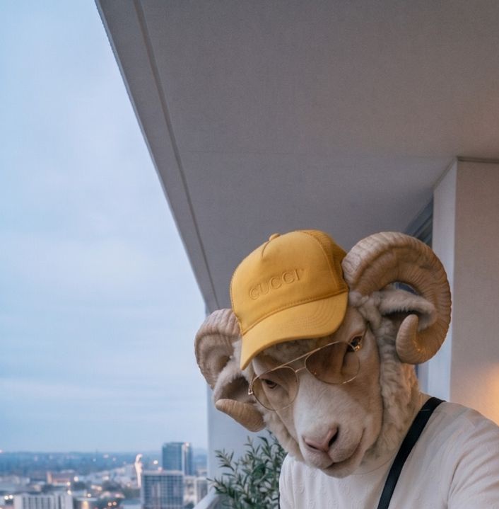 Hichthesis's tweet photo. @Ox_shellyyy I am a sheep bby https://t.co/NikDDP6vED