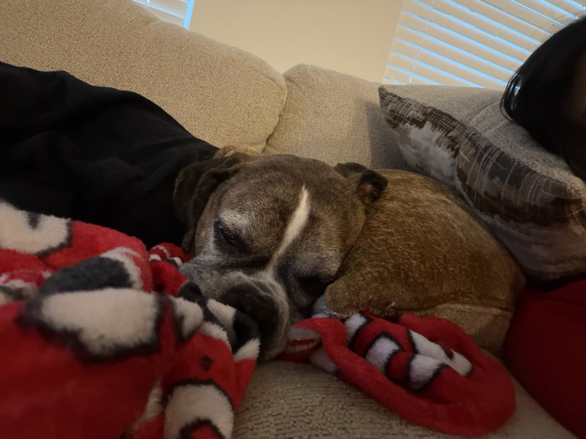 Stefffff_'s tweet photo. Update: he couldn’t hang https://t.co/EwOh5gfRVu