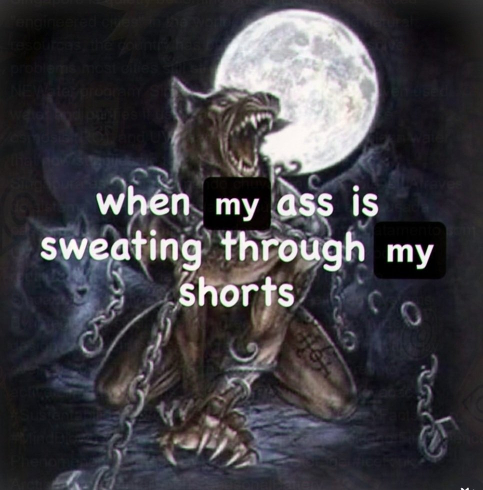 Nick 🐀🏳️‍⚧️ tweet media