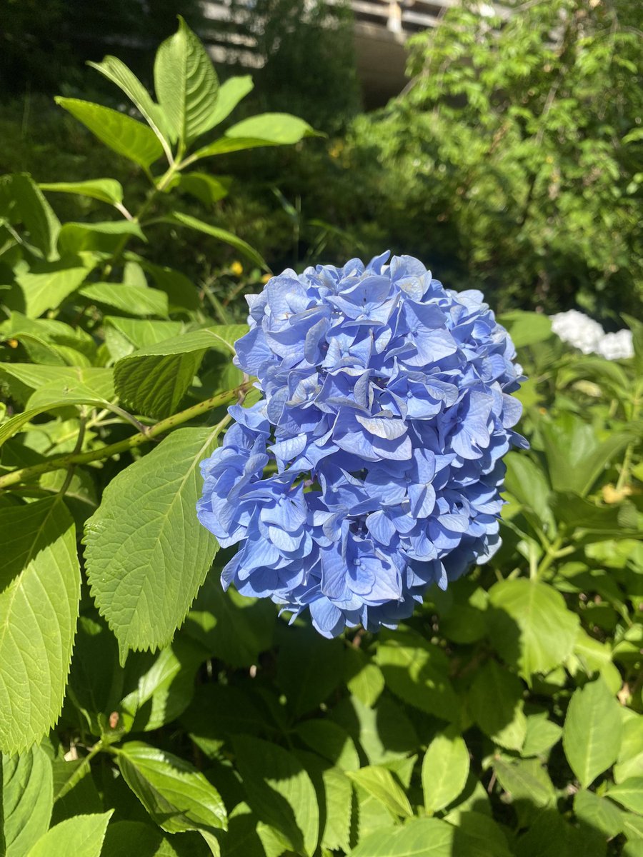 kyaitsu1007's tweet photo. おはよう
皆さん台風大丈夫ですか？
こっちは雨がすごいです
今日も頑張ろー👊 https://t.co/5ilcPAg7HC