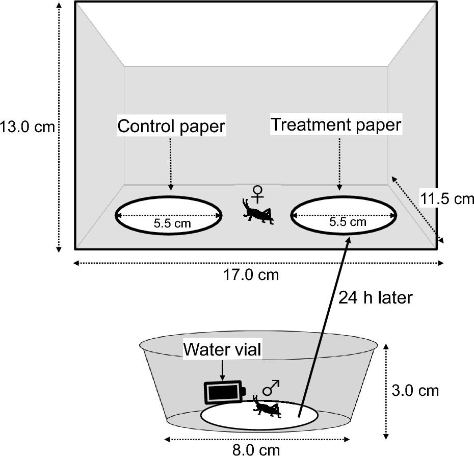 JE_Editor's tweet photo. 新しい論文が出版されました!
"Differential female preferences for male chemical cues in urban and rural crickets (都市部と農村部のコオロギにおける、オスの化学的シグナルに対するメスの好みの違い)" by Egami et al.   #Chemical_communication #Urban_ecology https://t.co/fheSGy5wVg https://t.co/gxuGvqf1qF