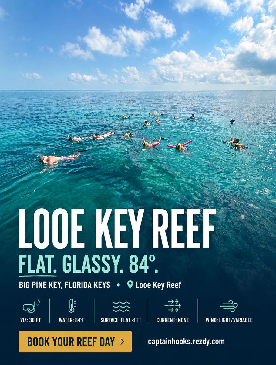 capthook's tweet photo. Flat, glassy, and 84° at Looe Key Reef this morning. 🌊 Captain John's crew floated the coral with zero current — and he's running it again tomorrow. Your seat's open: https://t.co/aDlpzZtdDa #FloridaKeys #Snorkeling #LooeKey https://t.co/SMonfyEOoE