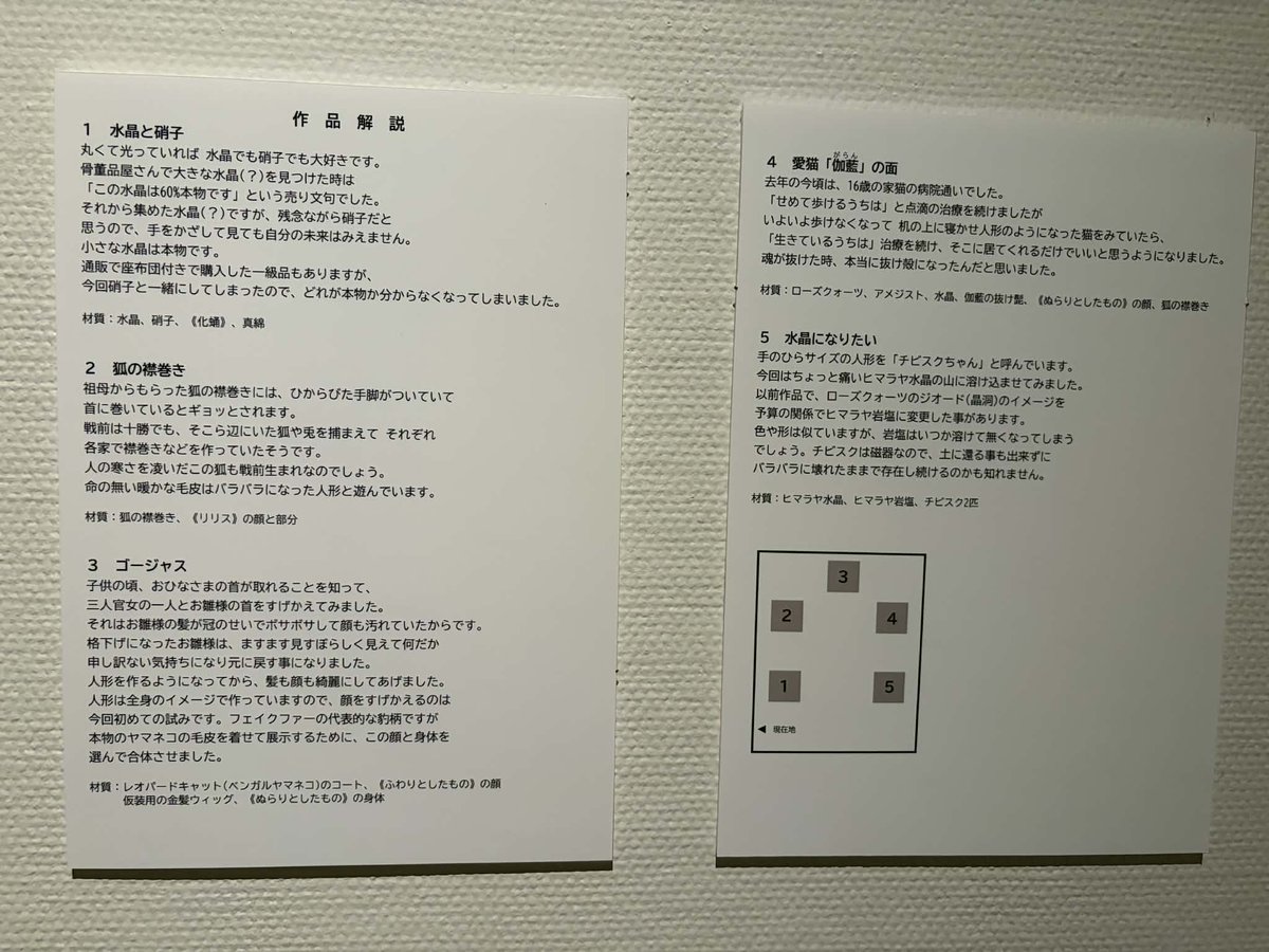 kaiakemihp's tweet photo. https://t.co/nHANoYkhvA