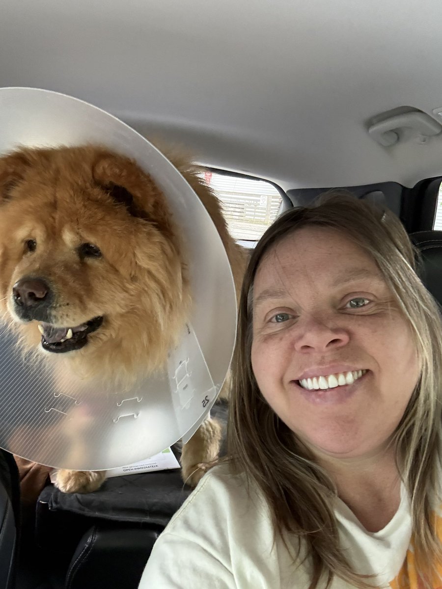 PattyPittman's tweet photo. Admiral did well with the surgery, they removed a huge tumor on his liver but found a lot more tumors that they didn’t expect. Will get news in a couple weeks about if it is cancer or not, then we can find figure out the next course of treatment. https://t.co/158cOywAin