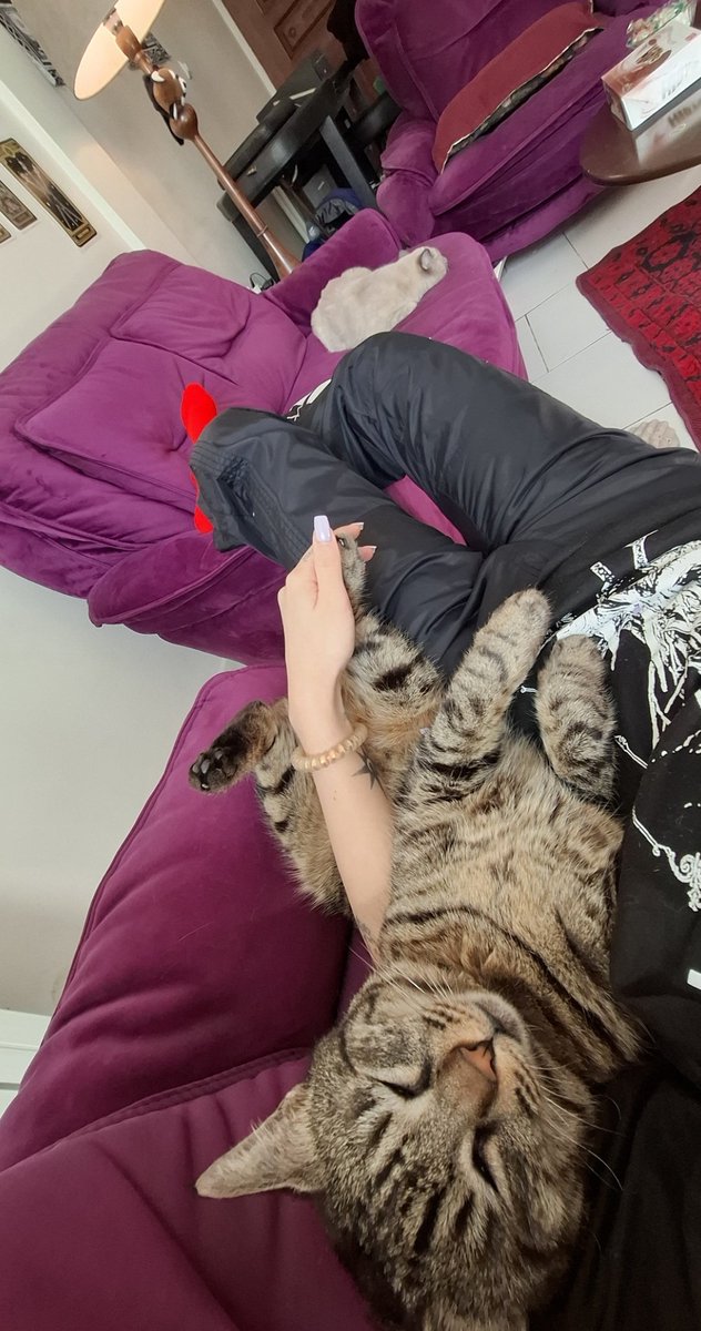 tghostw47's tweet photo. Just me and my "don't kill yourself" cat 🧿🧿🧿 https://t.co/aVfcxUS2gt