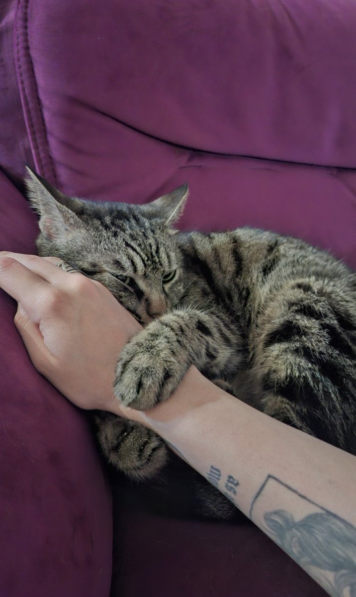 tghostw47's tweet photo. Just me and my "don't kill yourself" cat 🧿🧿🧿 https://t.co/aVfcxUS2gt
