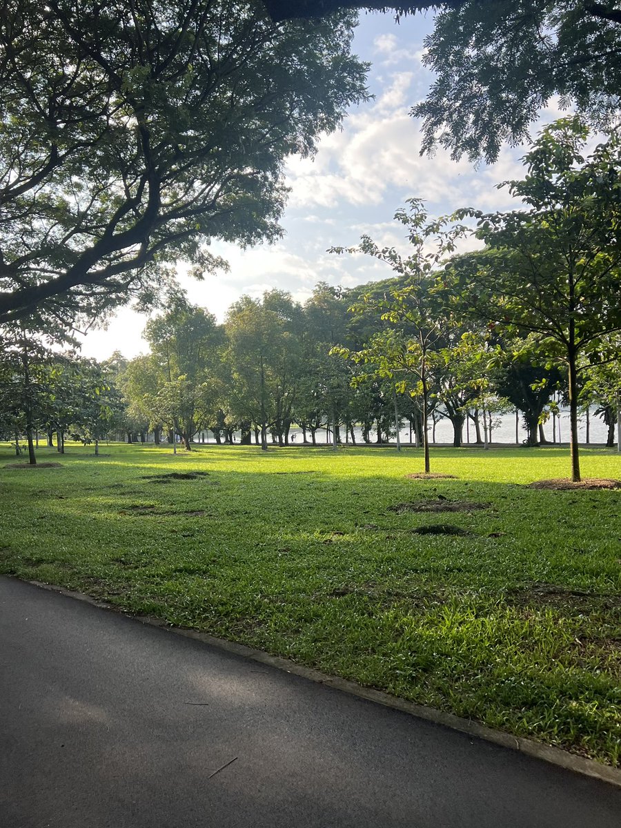 418chiffon's tweet photo. touching grass ☀️ https://t.co/JZ5Y29E2fW