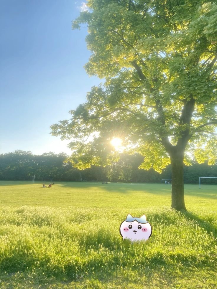 OomfieLoomfie's tweet photo. Morning yo https://t.co/WaKXHCogb7
