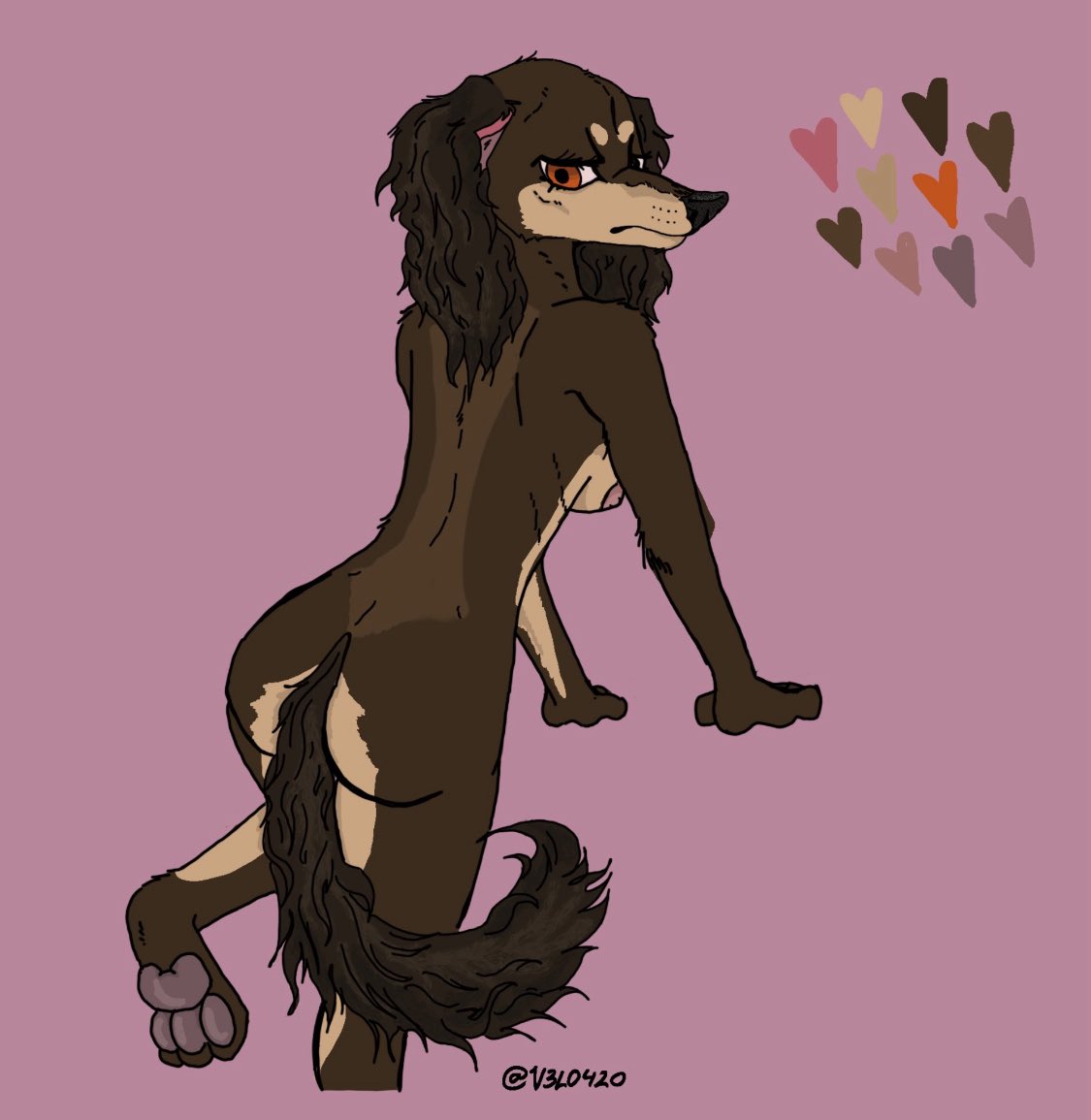 V3LO420's tweet photo. Beautiful Saluki girl!! yes, she does see you from across the room admiring her tail. Looking for 20USD for this gal (via PayPal or trade) https://t.co/N4zundwSfH