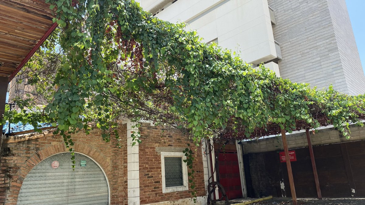 pedrolopez64's tweet photo. Se nota en el exterior, la enramada, un elemento prácticamente en extinción en nuestra ciudad. 

🌎 Locación: Calle 71 con avenidas 3F y 3G, sector Bellas Artes. 

📷 Pedro López. MCBO Cultural Project. Mayo, 2026.

#maracaibo #arquitecturadomestica #urbanismo #maracaibocity https://t.co/ozMaUvM0th