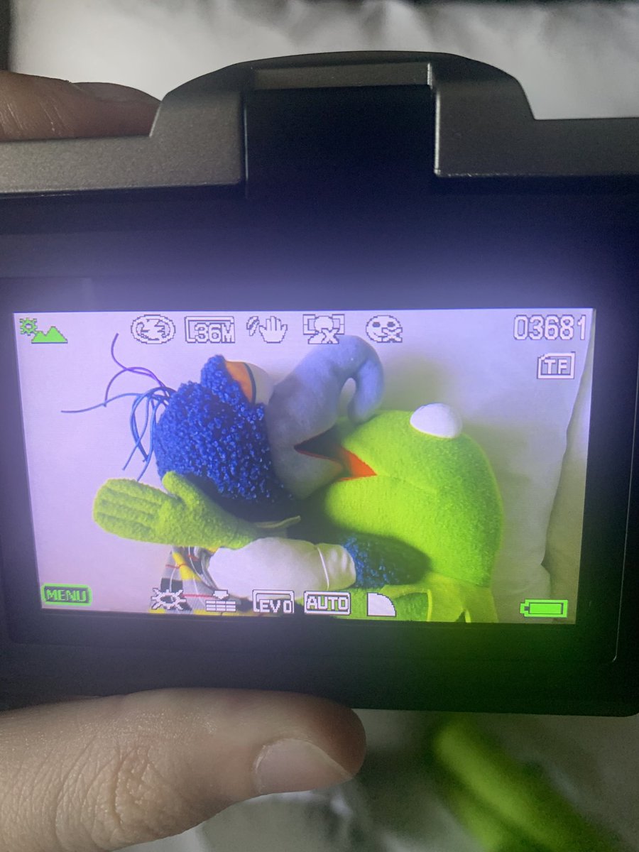 tacitustempered's tweet photo. Muppet makeout. https://t.co/7QODLr59tA