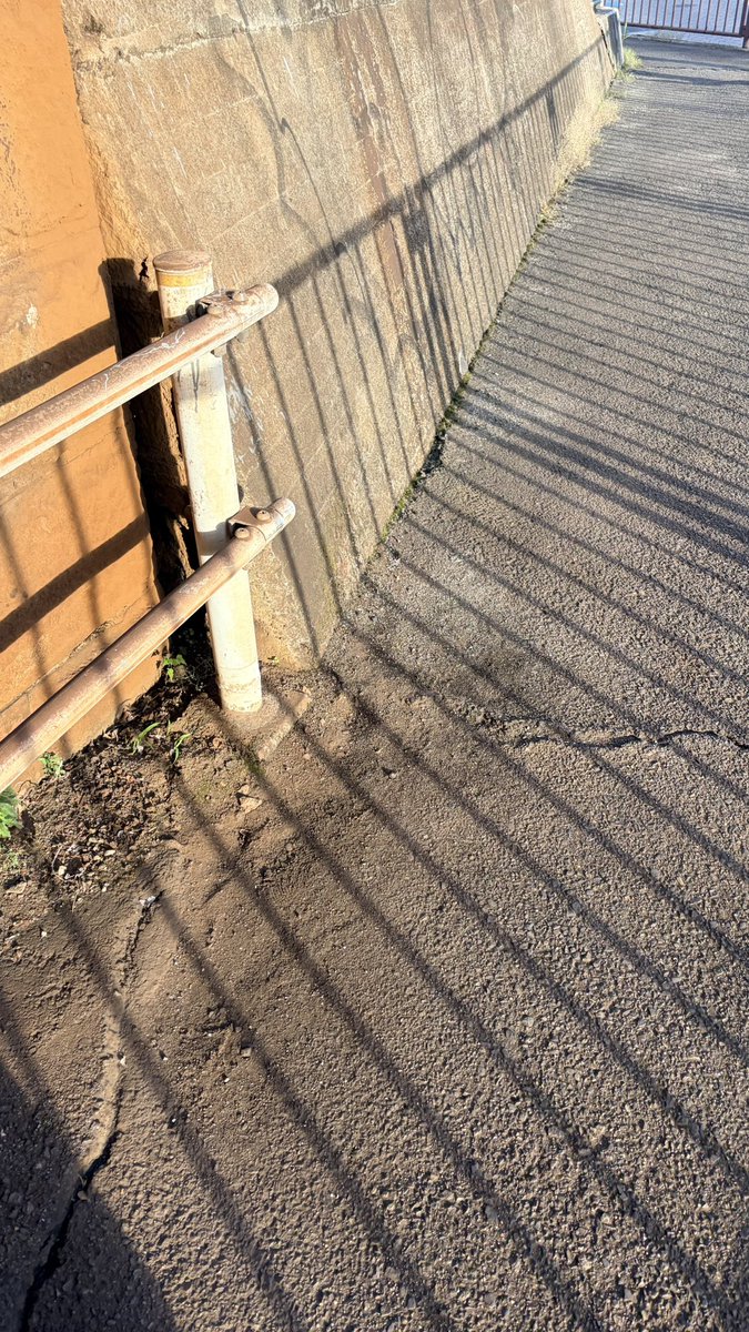 __47sleep's tweet photo. 社会人の常識とか知りません。
私は休みます。 https://t.co/d8SbHgtrbi