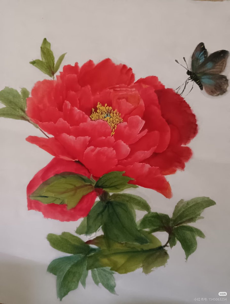 mudan4017's tweet photo. A flower as red as flame, its beauty outshines even the frost and snow. #Peony https://t.co/oBihxsgi3x