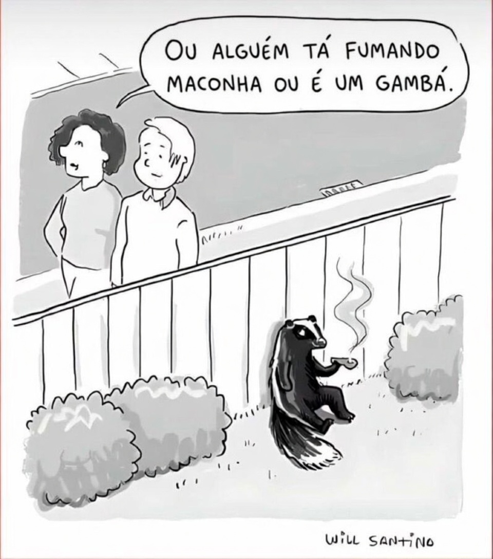 Diario4e20's tweet photo. https://t.co/6cH7QtpQIo