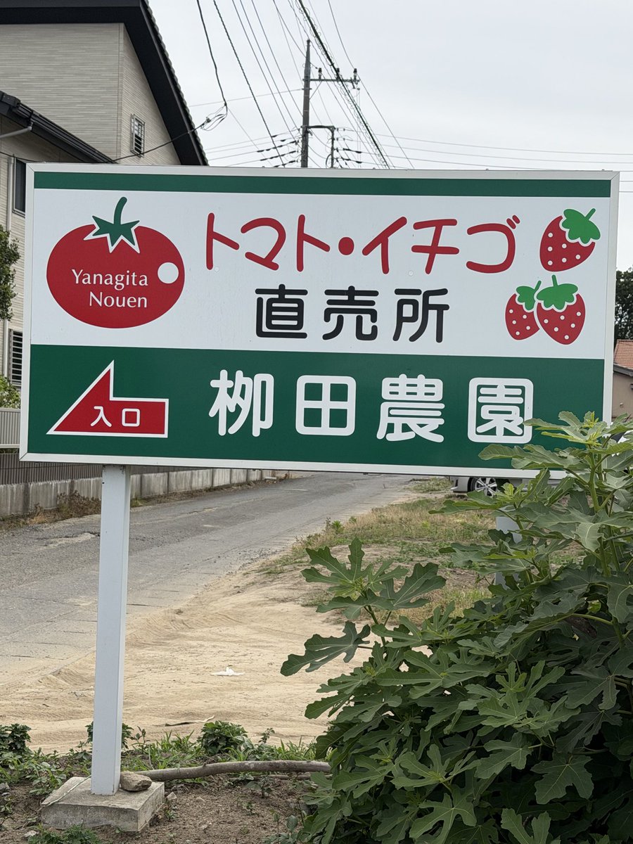 mi___mgmg's tweet photo. 常総市にある 柳田農園さん🍅

以前こちらのトマトをいただいたことがあって、とても美味しかったので、近くに行ったので寄ってみた✨

トマトは1袋450円、苺(やよいひめ)は250円〜400円のパックが並んでいて、今回は250円のものを購入🍓

新鮮でお手頃価格なのが嬉しい☺️ https://t.co/WyPK8Z8ns8