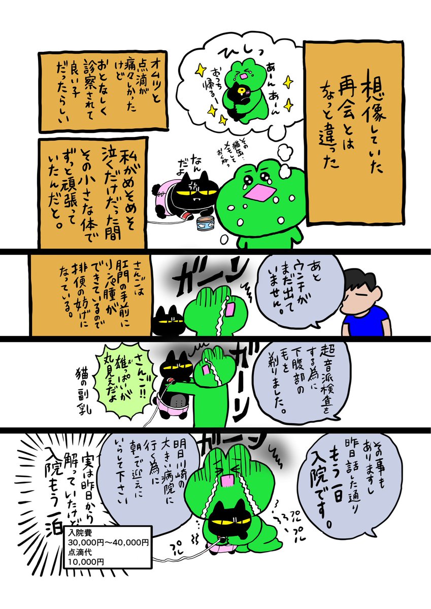 epuron_no_kae's tweet photo. 飼い主と珊瑚の闘病生活①
2/3 https://t.co/c68MdnJogA