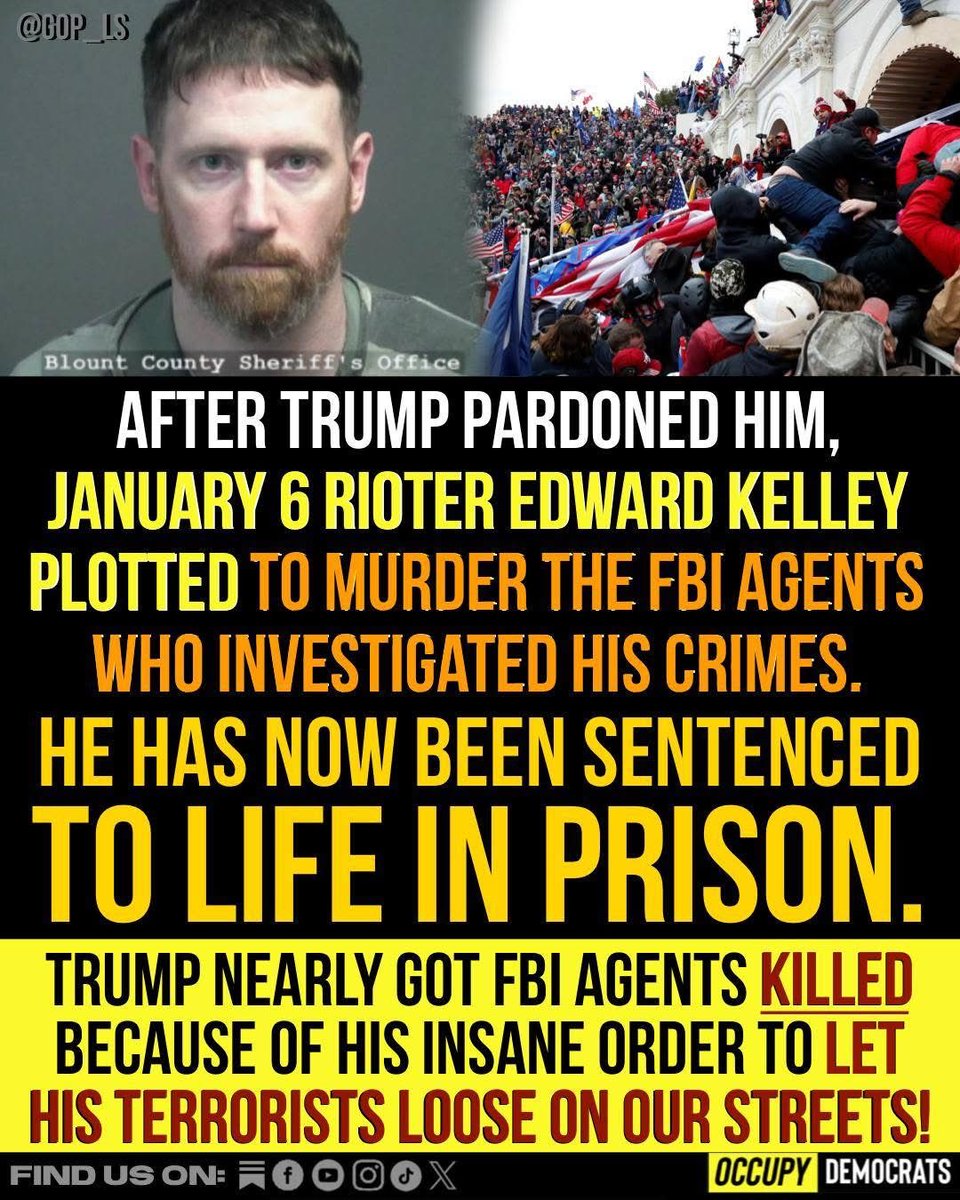 OccupyDemocrats's tweet photo. Todd Blanche already working on another pardon! 

Is there a double Jeopardy rule for pardons? https://t.co/7xVC1HsZxY