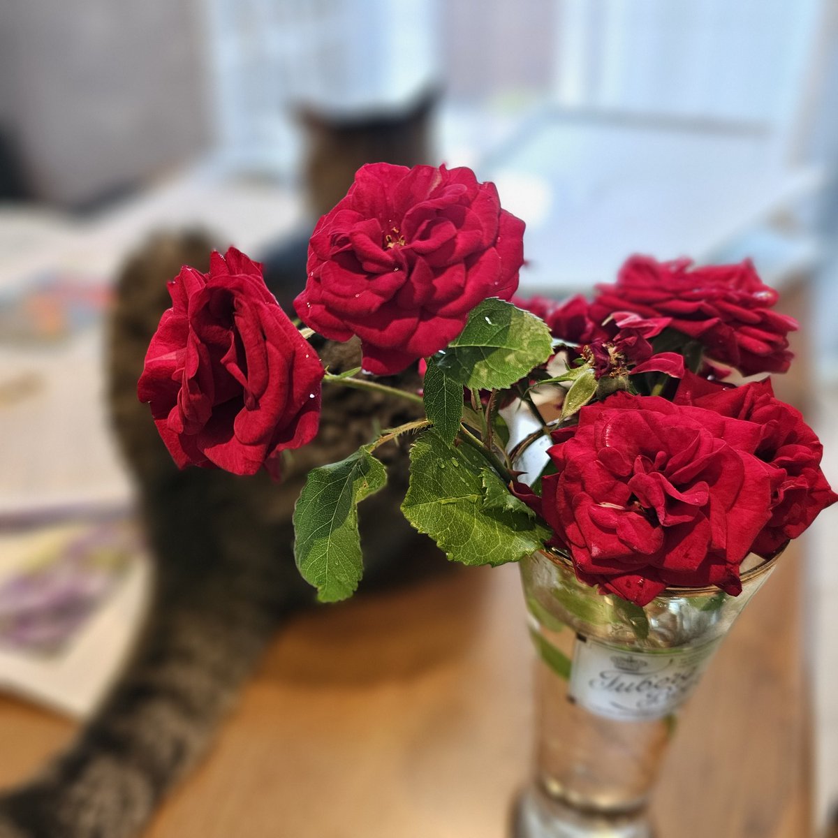 chat_blanc2's tweet photo. 台風でバラが倒れてた。
折れた枝を切って活ける。
これはラバグルート🌹 https://t.co/J4Zqf8eVdN