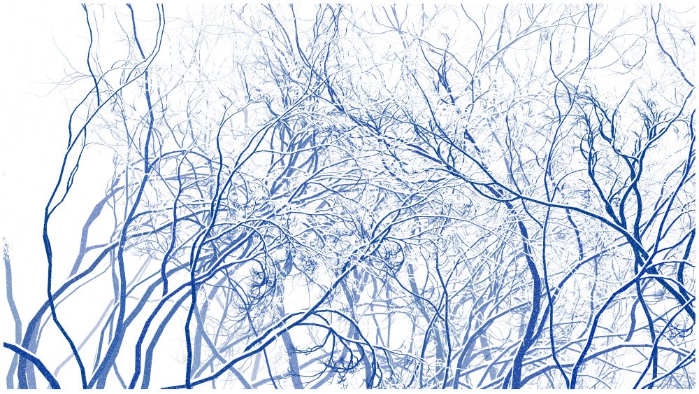 MadMAT_org's tweet photo. The museum has purchased Schneewald #146 by Holger Lippman @wowgreat #genart on #fxhash. https://t.co/K34A0A7N9y