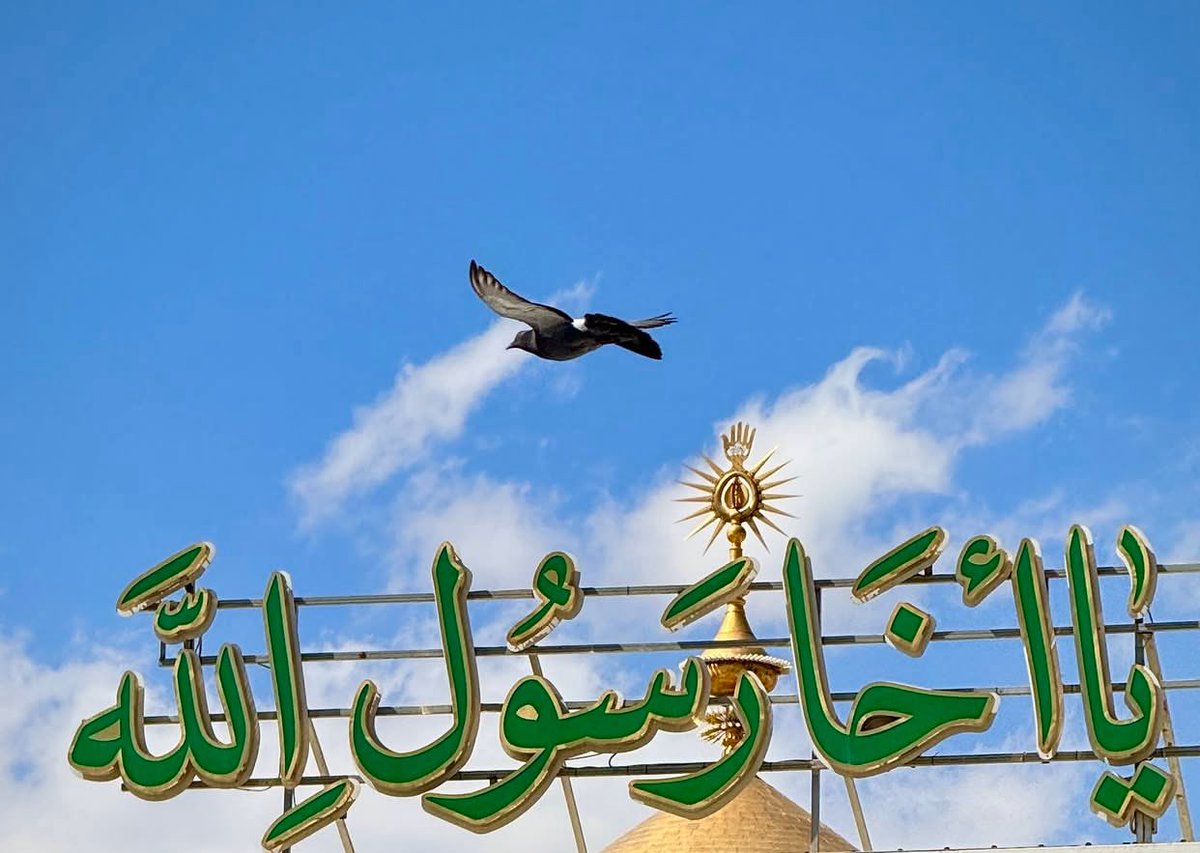 Alsultan892 tweet picture