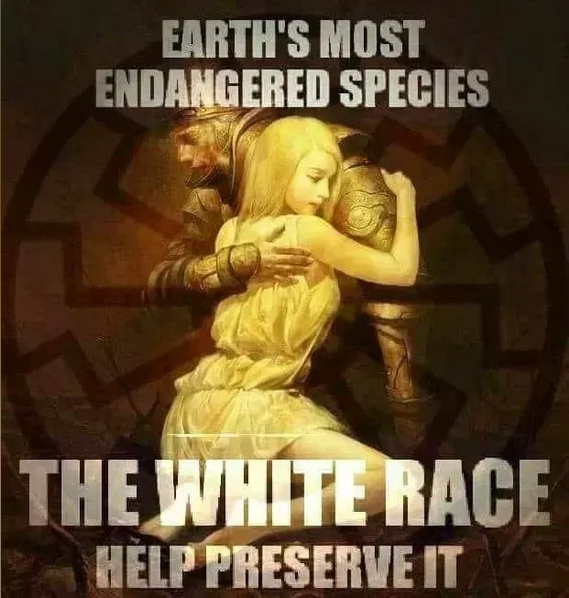 Flo_Nightlytale's tweet photo. If you like this post, PLEASE FOLLOW ME. My account with 4K followers was permanently suspended for pro-white sentiment. 😢 https://t.co/s2IUxm41PQ