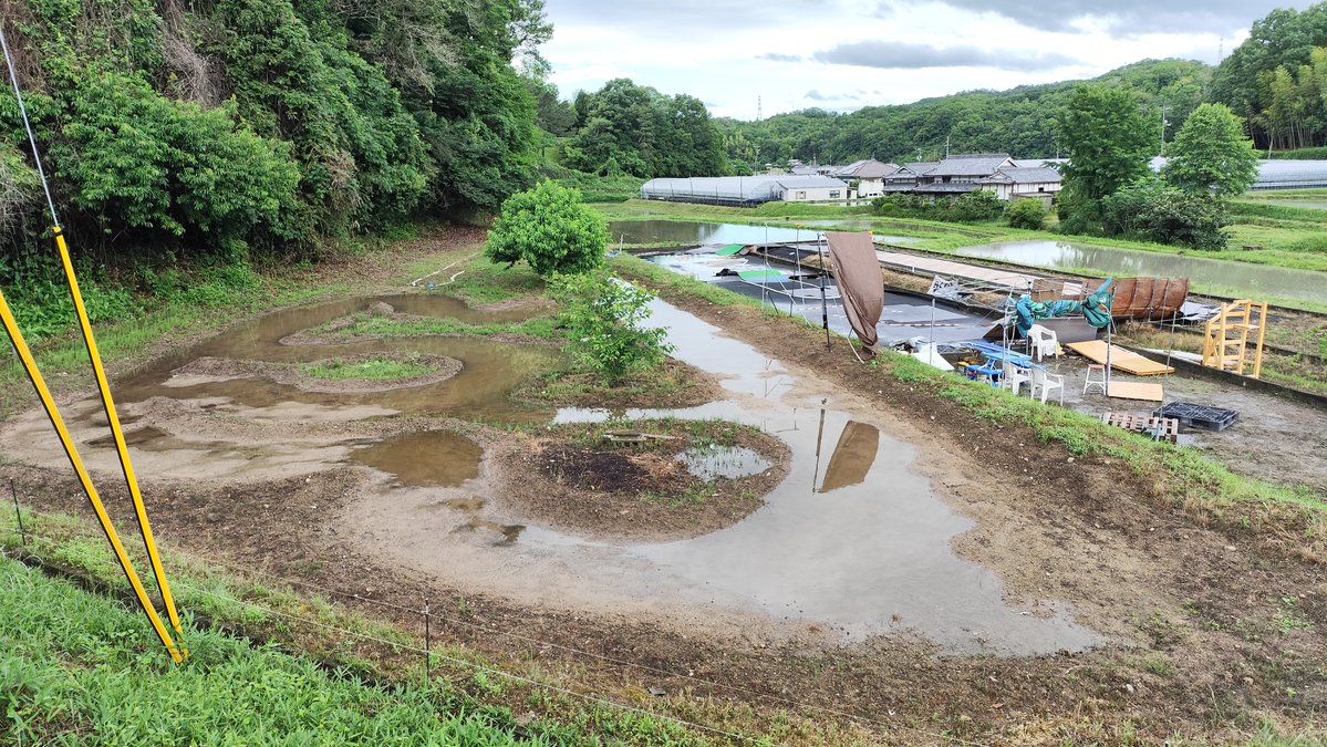 DT03RC's tweet photo. 岡山は災害がほぼ無いのですが、さすがにカーペットが飛んでないか気になって、台風の影響を確認する為、コースに出てみました🫣
カーペットも無事で水たまりを見る限り、雨も大したことなくてよかった☔
このあとはずっと晴れるので、これくらいなら、夕方には水たまりも消えそうです😊

#ラジコン
#サーキット