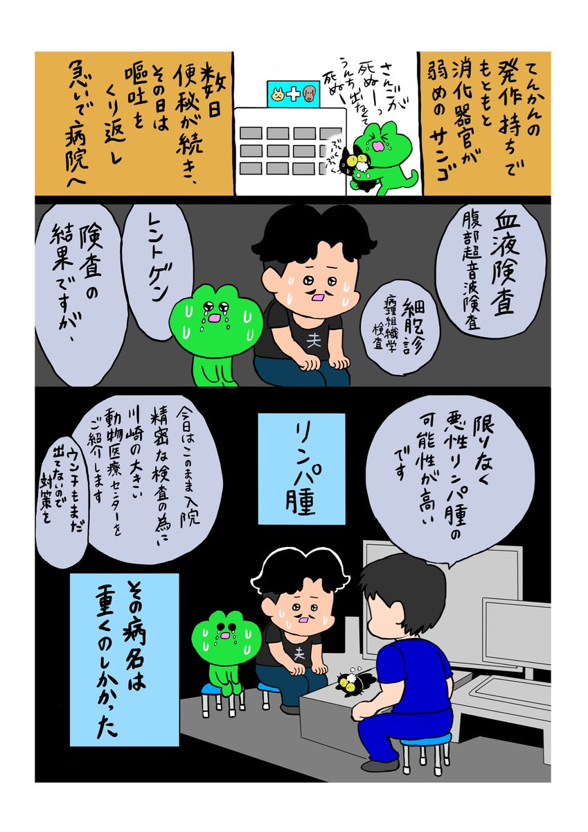 epuron_no_kae's tweet photo. 飼い主と珊瑚の闘病生活①
1/3 https://t.co/lBNTtPMP26