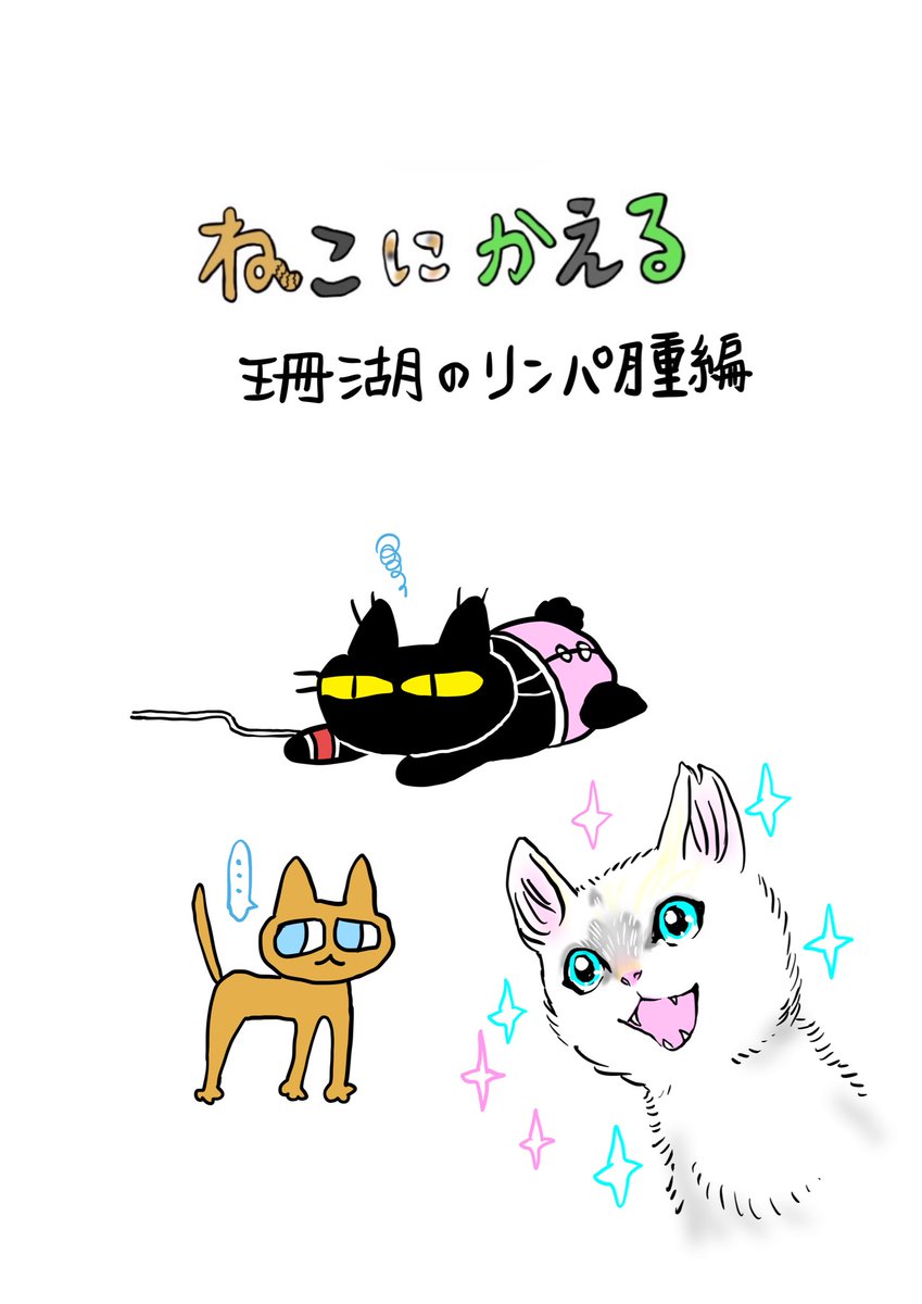 epuron_no_kae's tweet photo. 飼い主と珊瑚の闘病生活①
1/3 https://t.co/lBNTtPMP26