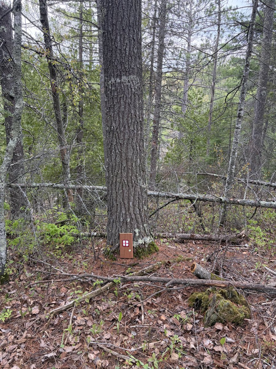 mszybn1's tweet photo. ESCAPED NORTH and found the Knife River Hiking Trail off the SH*T! Wonderful hike and a brisk lunch at the McQuade Boat Harbor. Get me to the lake! #lakesuperior #duluth #exploremn #gnomesearch https://t.co/kkuv5SiYsE