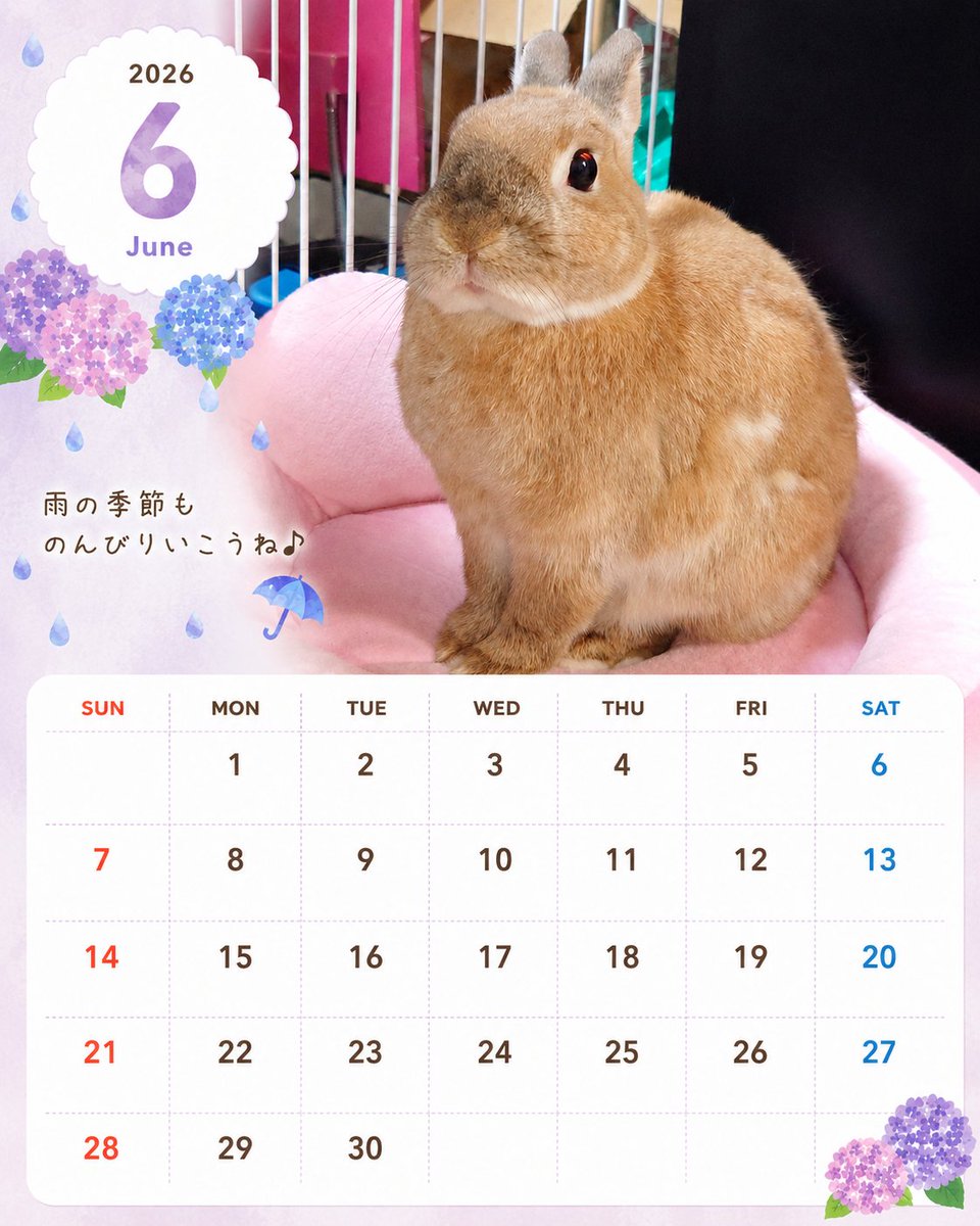 チャッピー